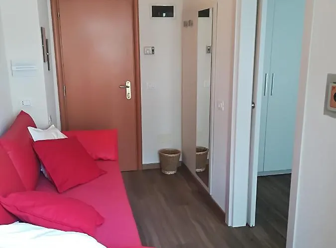 Rondinella E Viola Rimini