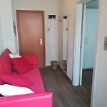 Rondinella E Viola Rimini
