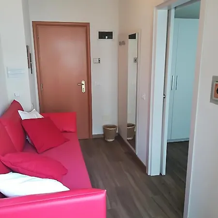 Rondinella E Viola Rimini