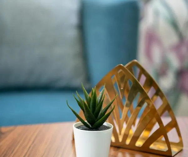 荣迪内拉维奥拉酒店 酒店