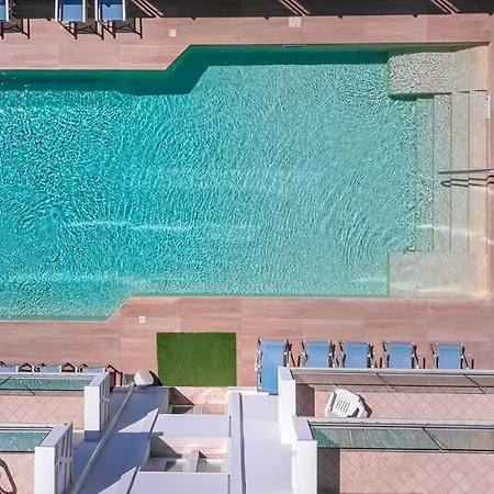 Rondinella E Viola Rimini