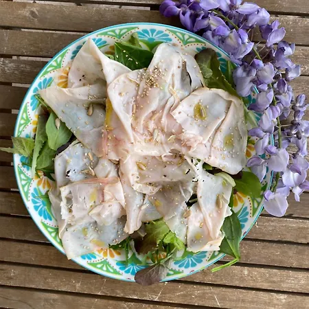 Rondinella E Viola Otel Rimini