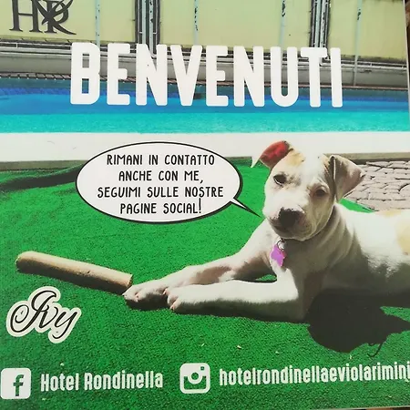 Rondinella E Viola Otel
