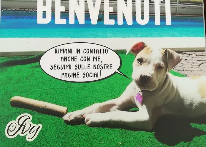 Rondinella E Viola Отель